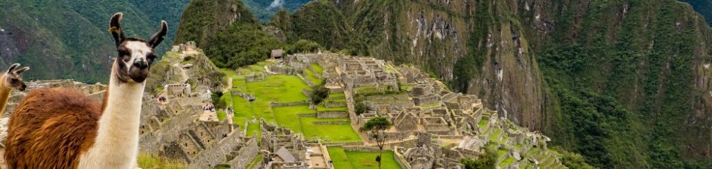 alt="buckeltest Machu Picchu"